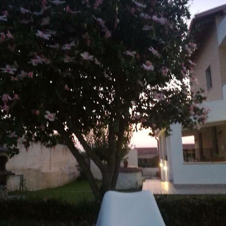 La Casa Delle Farfalle Bed & Breakfast Siraküza Dış mekan fotoğraf