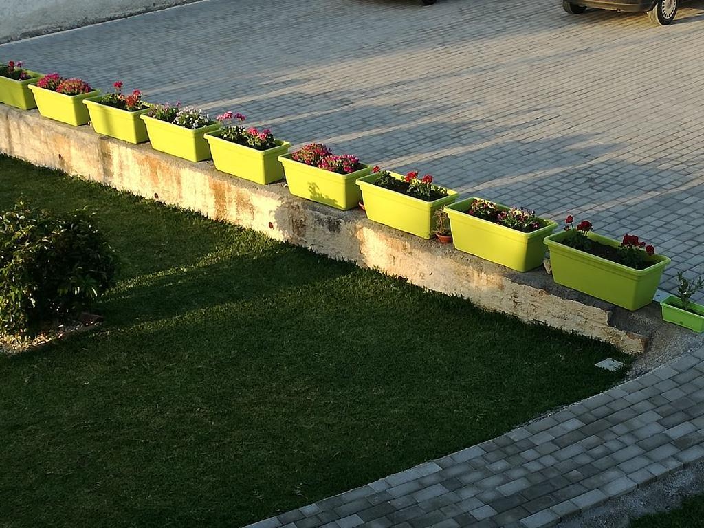 La Casa Delle Farfalle Bed & Breakfast Siraküza Dış mekan fotoğraf
