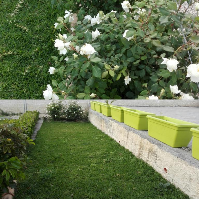 La Casa Delle Farfalle Bed & Breakfast Siraküza Dış mekan fotoğraf