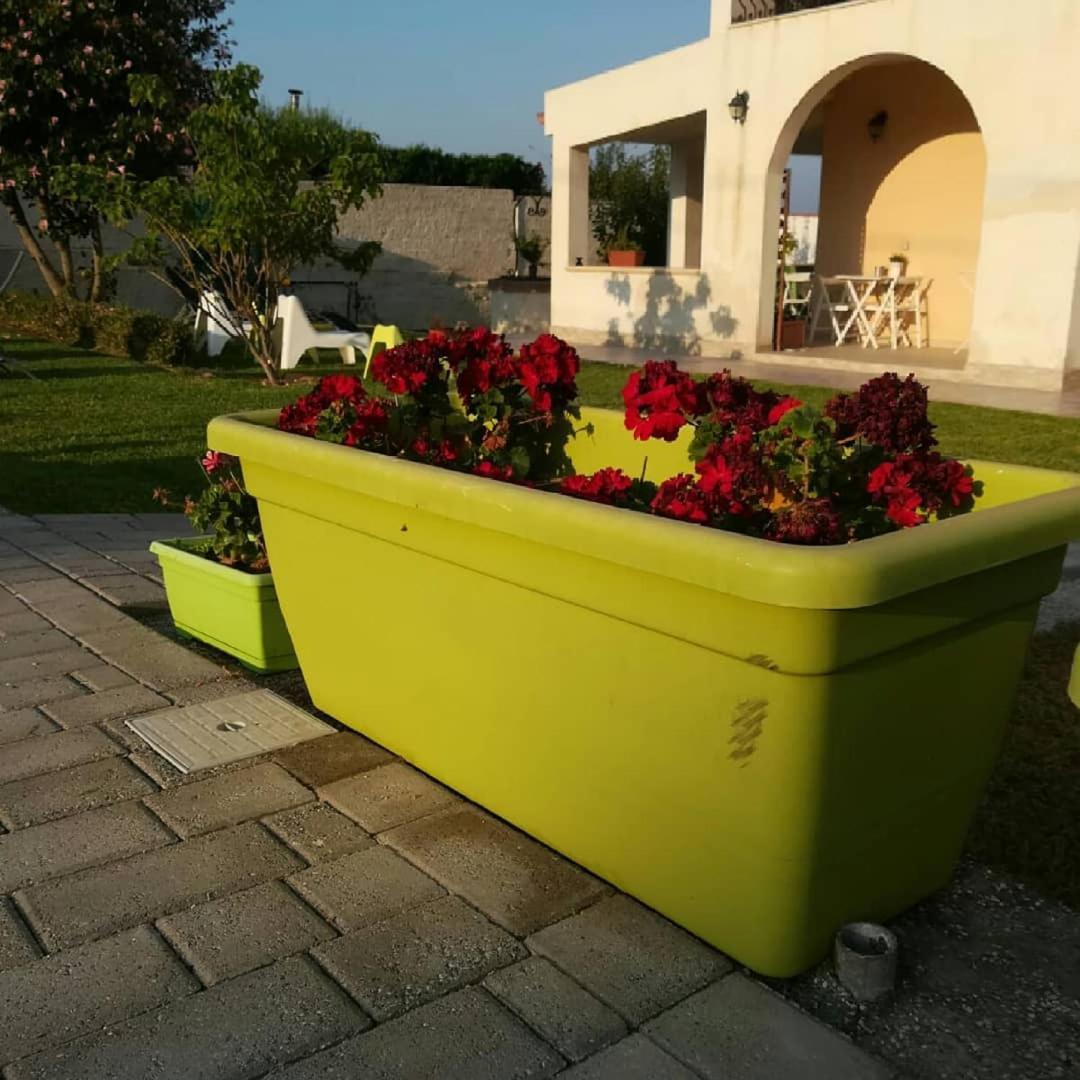 La Casa Delle Farfalle Bed & Breakfast Siraküza Dış mekan fotoğraf