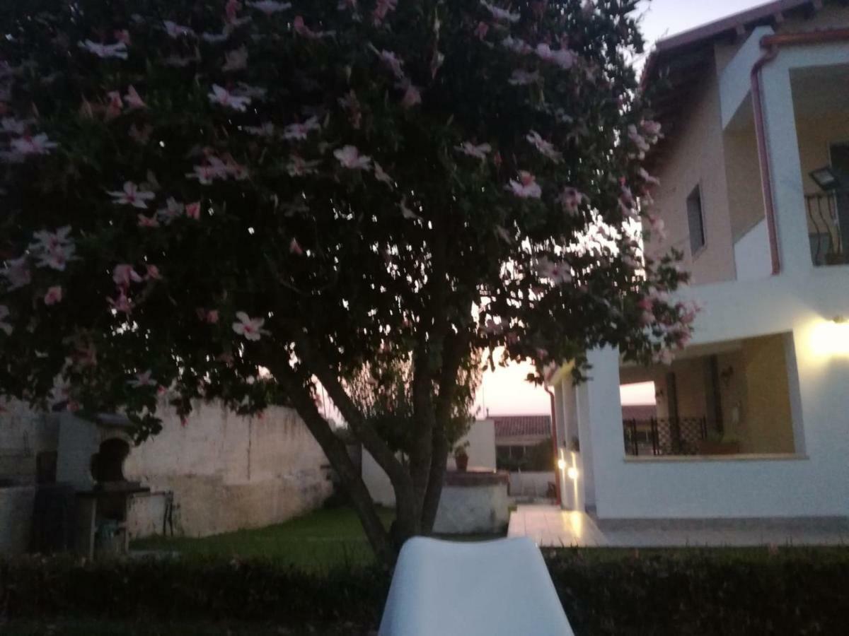 La Casa Delle Farfalle Bed & Breakfast Siraküza Dış mekan fotoğraf